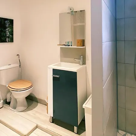 Apartment Avec Jardin Prive Randos & Cures - Luminice *