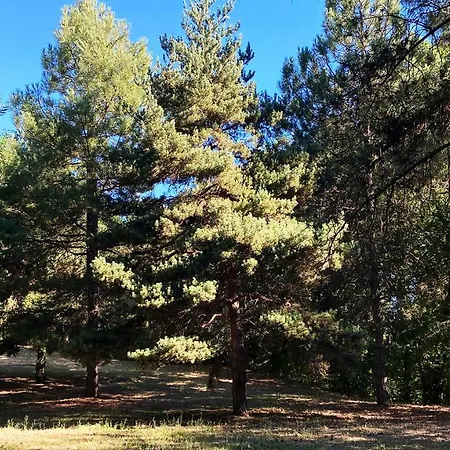 Apartment Avec Jardin Prive Randos & Cures - Luminice